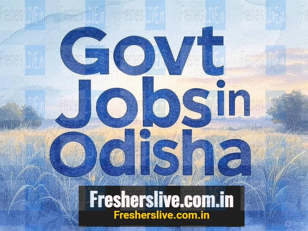 Jagatsinghpur District Jobs 2025 - Apply for 50 Lunch Driver, Boat Khalasi Post in Debagarh