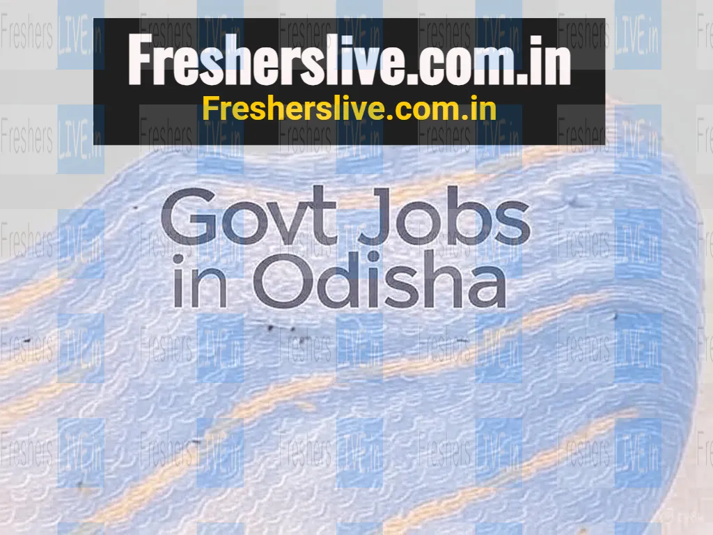 DLSA Jharsuguda Jobs 2025 - Apply for 1 Para Iegal Volunteers Post  in 