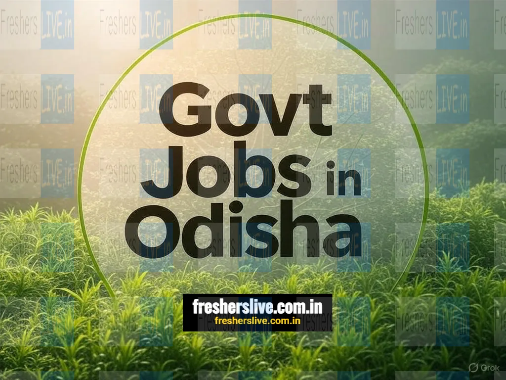District Court Cuttack Jobs 2025 - Apply for 34 Junior Clerk Cum Copyist, Salaried Amin Post  in 
